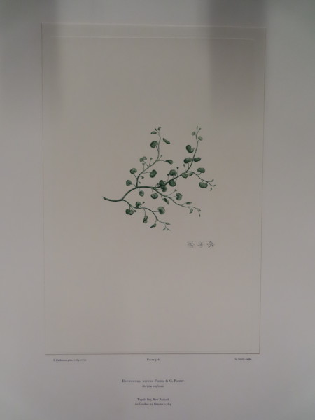 FDA-E.2916_25_4-2016 image FDA-E.2916_25_4-2016