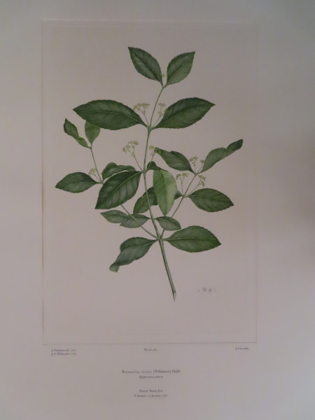 image FDA-E.2916_17_6-2016