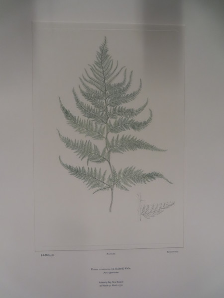 image FDA-E.2916_27_6-2016-A