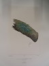 image FDA-E.2916_31_21-2016