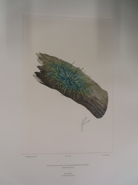 image FDA-E.2916_31_21-2016