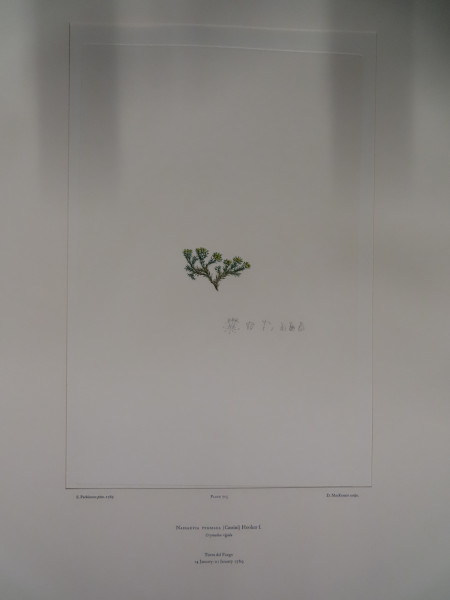 image FDA-E.2916_33_24-2016