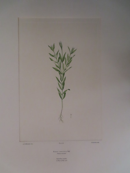 image FDA-E.2916_13_20-2016