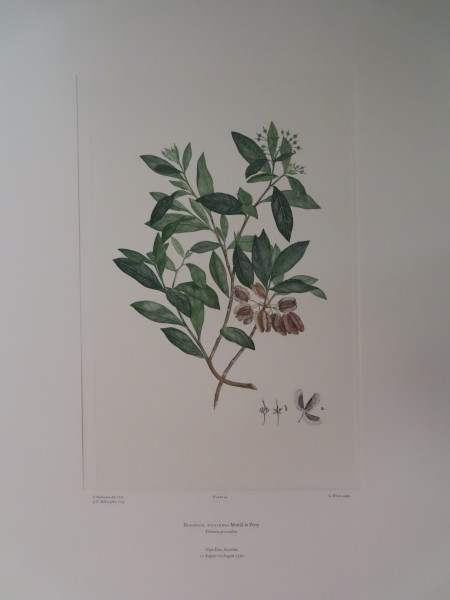 image FDA-E.2916_2_26-2016-A