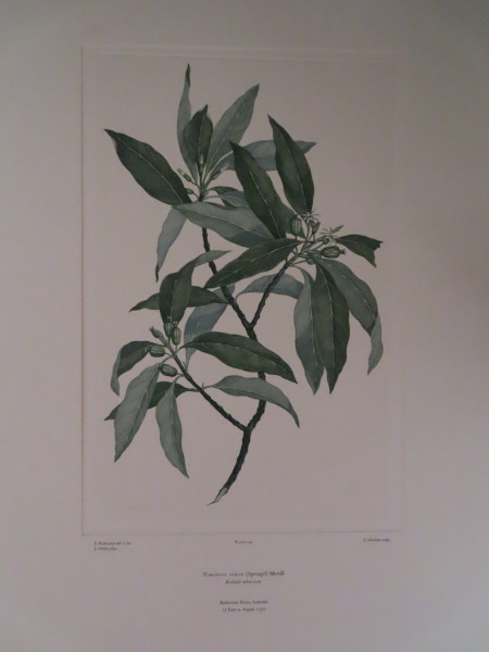 image FDA-E.2916_7_15-2016