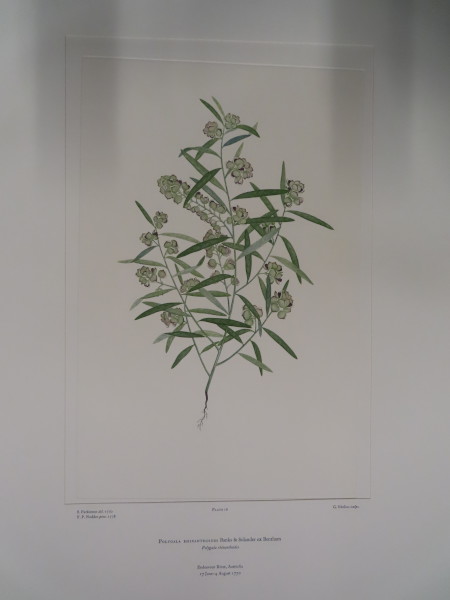 image FDA-E.2916_1_19-2016-A