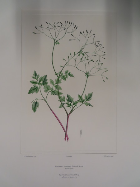 FDA-E.2916_33_7-2016-A image FDA-E.2916_33_7-2016-A