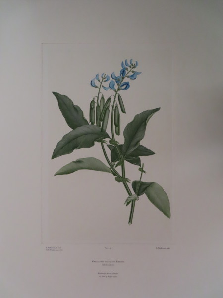 FDA-E.2916_3_13-2016-A image FDA-E.2916_3_13-2016-A