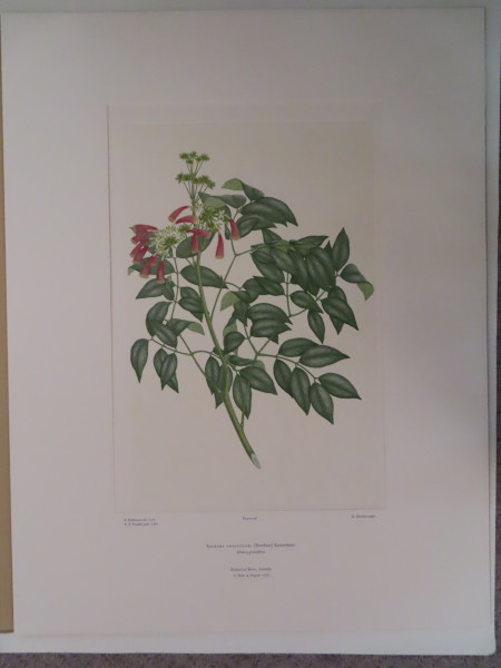 FDA-E.2916_5_9-2016 image FDA-E.2916_5_9-2016
