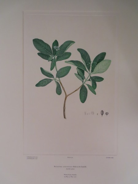image FDA-E.2916_7_20-2016-A