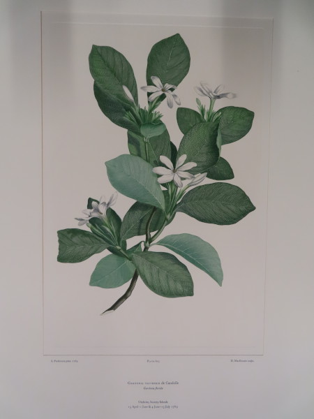image FDA-E.2916_29_12-2016-A