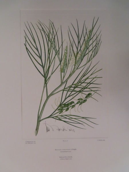 image FDA-E.2916_13_8-2016-A