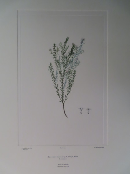 FDA-E.2916_9_17-2016-A image FDA-E.2916_9_17-2016-A