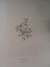 image FDA-E.2916_3_18-2016-A