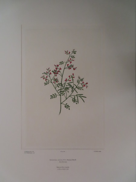 FDA-E.2916_3_18-2016-A image FDA-E.2916_3_18-2016-A
