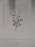 image FDA-E.2916_20_10-2016-A