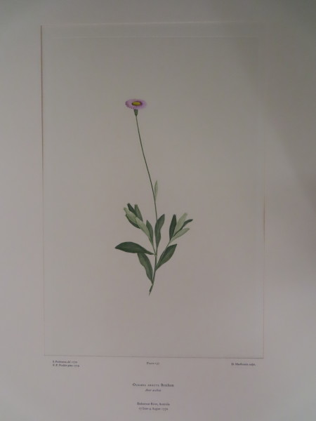 FDA-E.2916_7_25-2016-A image FDA-E.2916_7_25-2016-A