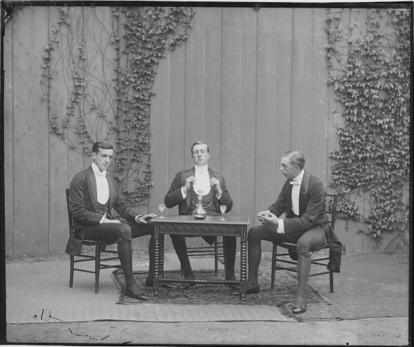 image PA-N.981-2024