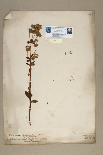 image NHM_HH_18.12-2010