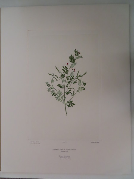 image FDA-E.2916_3_22-2016