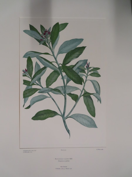 image FDA-E.2916_20_15-2016-A