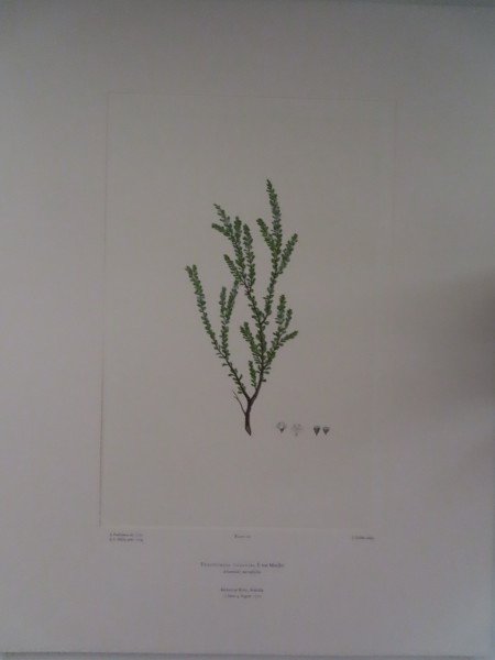 image FDA-E.2916_5_20-2016-A