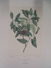 image FDA-E.2916_24_18-2016-A