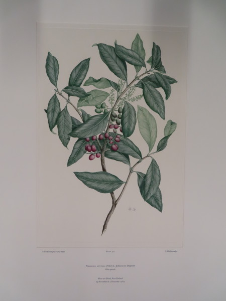 image FDA-E.2916_24_18-2016-A