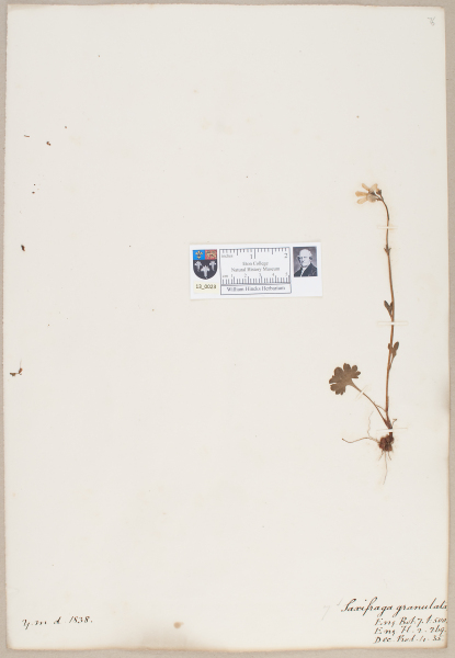 image NHM_HH_13.23-2010