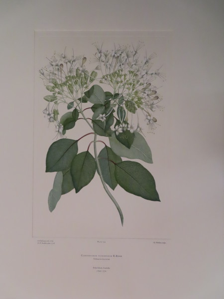 image FDA-E.2916_12_10-2016
