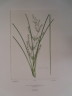 image FDA-E.2916_15_18-2016