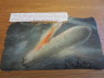 image ECL-O.55-2013-E
