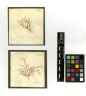 image NHM-HH_1.213-2010-A