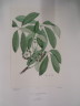 image FDA-E.2916_22_21-2016