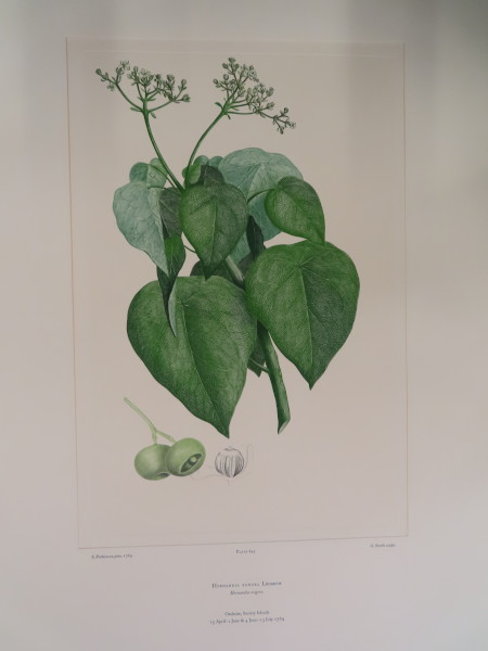 image FDA-E.2916_30_20-2016-A