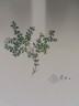 image FDA-E.2916_32_22-2016-A
