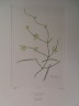 image FDA-E.2916_10_10-2016-A