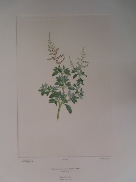 FDA-E.2916_12_15-2016 image FDA-E.2916_12_15-2016
