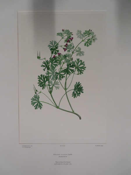 image FDA-E.2916_20_24-2016