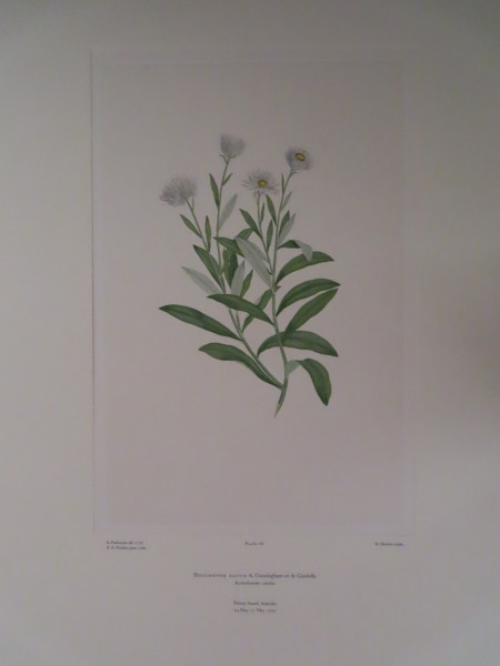 FDA-E.2916_8_14-2016-A image FDA-E.2916_8_14-2016-A