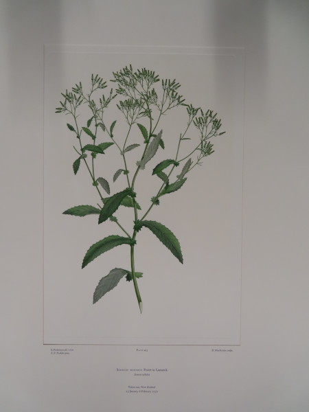 FDA-E.2916_24_4-2016-A image FDA-E.2916_24_4-2016-A