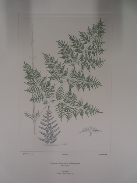 image FDA-E.2916_27_10-2016-A