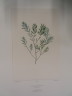 image FDA-E.2916_30_25-2016-A