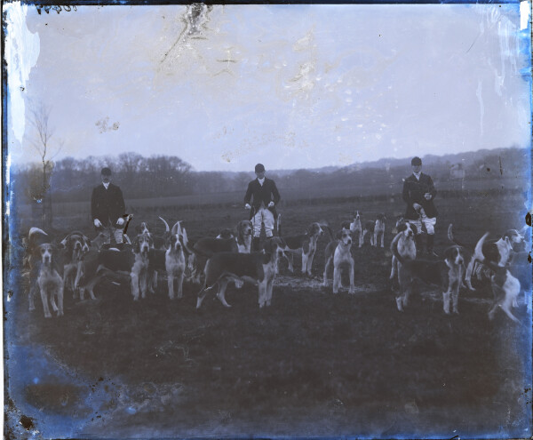 image PA-N.1214-2024