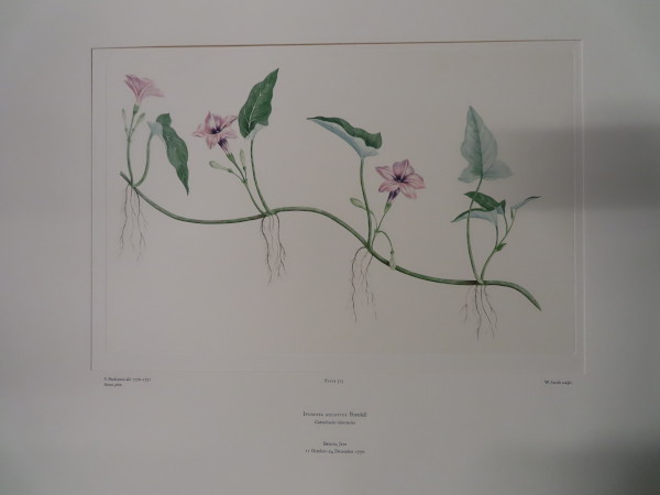 image FDA-E.2916_17_18-2016