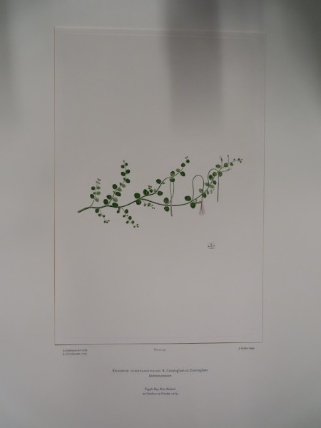 FDA-E.2916_22_8-2016-A image FDA-E.2916_22_8-2016-A