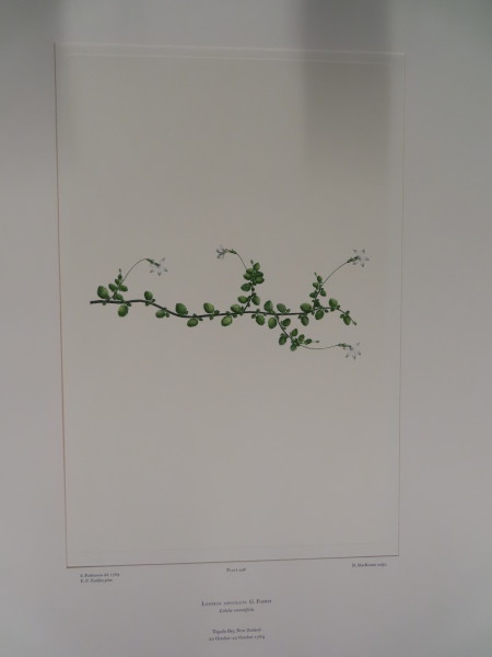 FDA-E.2916_24_9-2016-A image FDA-E.2916_24_9-2016-A