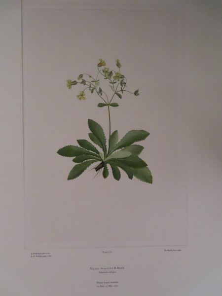 image FDA-E.2916_8_24-2016-A