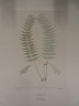 image FDA-E.2916_27_15-2016