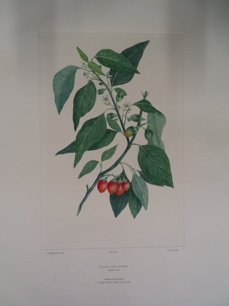 FDA-E.2916_30_8-2016-A image FDA-E.2916_30_8-2016-A